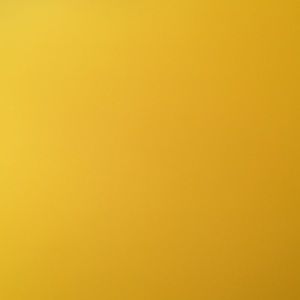 Meet your Posher, Clara